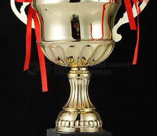 B体育体育培训-挪威足球队问鼎冠军奖杯，光荣到手