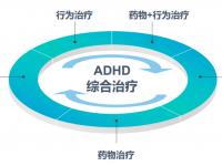 B体育体育入口-荷兰后卫因伤病暂时退出国家队，集中治疗康复