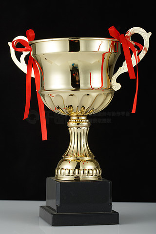 挪威足球队问鼎冠军奖杯,光荣到手 挪威足球队问鼎冠军奖杯,光荣到手