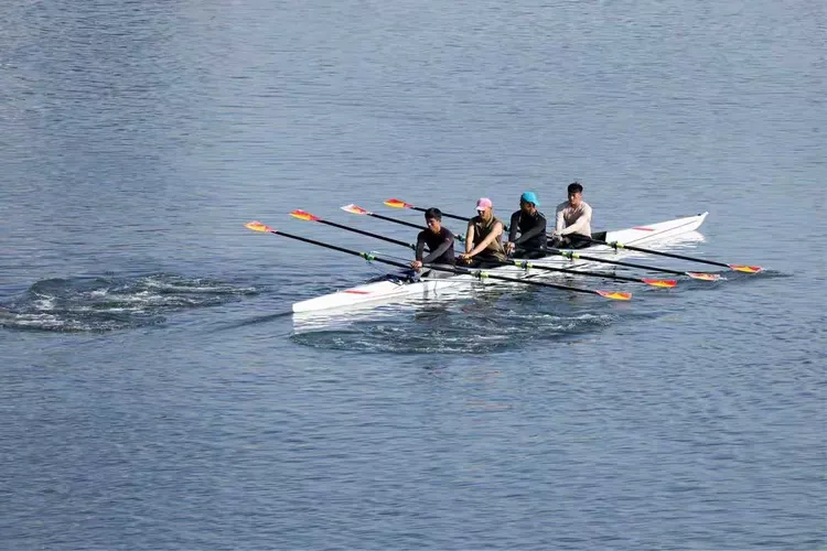 关于新加坡帆船选手力拼风浪，获得好成绩的信息